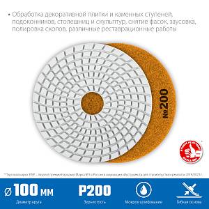 ЗУБР 100 мм, №200, мокрое шлифование, алмазный гибкий шлифовальный круг АГШК, Профессионал (29866-200)